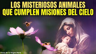 ¡Misteriosos Animales Cumpliendo Misiones del Cielo! Dios habla a través de toda la Creación