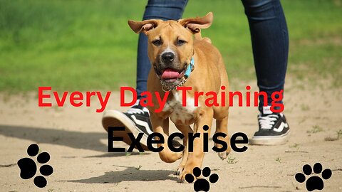 5 Dog Training Exercises You Should Do EVERY DAY At Home!