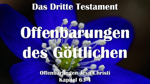 Offenbarungen des Göttlichen... Jesus Christus erklärt ❤️ Das Dritte Testament Kapitel 63-4
