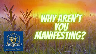 Why Aren't You Manifesting Abundance?