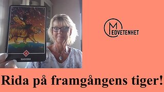 Gillar du framgång? Försöker du återskapa det förflutna?