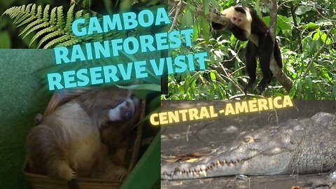 Gamboa Rainforest Reserve, Panama Central America!