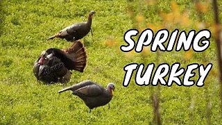 Spring Turkey Hunting in Wisconsin - The Ups and Downs