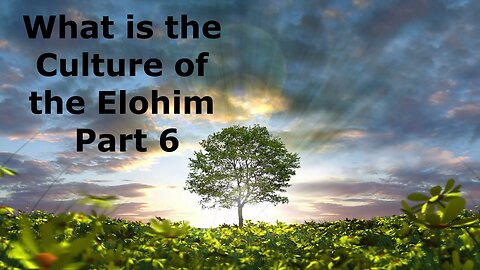 What is the culture of the Elohim? Part 6