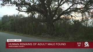 Remains found in Okeechobee County where missing Lyft driver lastreported