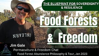 Growing Food Forest Abundance & Freedom | The New Model for Sovereignty w/Jim Gale