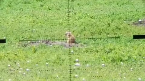 Buffalo Butte Ranch - Prairie Dog Hunting and Long Range Shooting