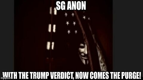 SG Anon: With the Trump Verdict, Now Comes the Purge! (Video)
