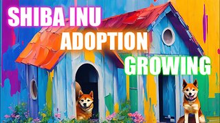 SHIBA INU: Adoption Is Growing As Entities Keep Buying SHIB