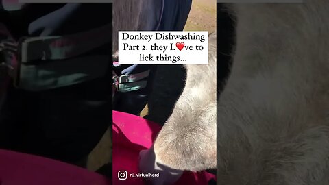 Donkeys as Dishwashers Part 2