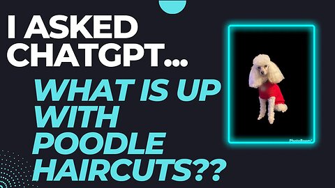 The Ultimate Guide to Poodle Haircuts - According to ChatGPT