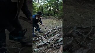 Cutting campfire wood with the electric chainsaw