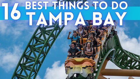 Tampa Bay Florida Travel Guide 2024