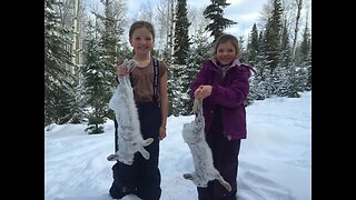 Snaring Rabbits and Making Rabbit Stew