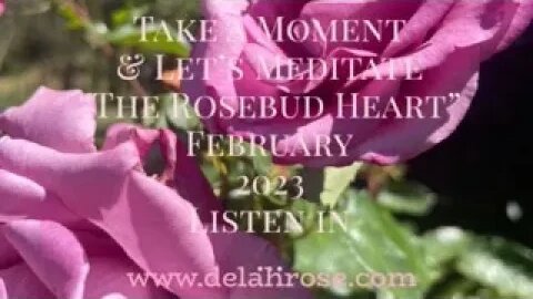 A Moment To Meditate -'The Rosebud Heart' February 2023 DO NOT DRIVE AND LISTEN. STOP TO LISTEN.