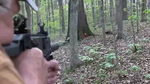 KRISS Vector SBR Suppressed Woods Walk