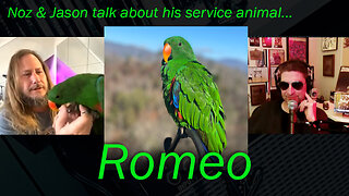 Noz & Jason Pilgrim (Flesh Parade) talk his service animal Romeo