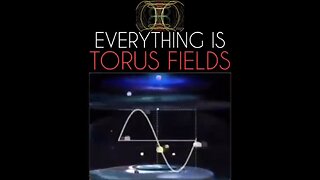 THE TORUS FIELD - Our and Mother GAIA'S Electromagnetic Field