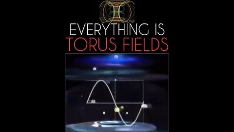 THE TORUS FIELD - Our and Mother GAIA'S Electromagnetic Field