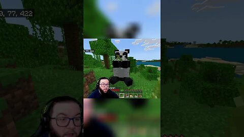 My Reaction To Pandas In Minecraft 😱😍 #minecraft #minecraftshorts