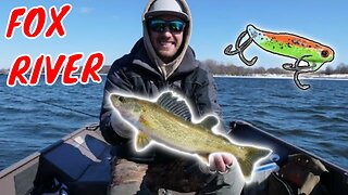 Hammering Pre Spawn Walleyes on the Fox River