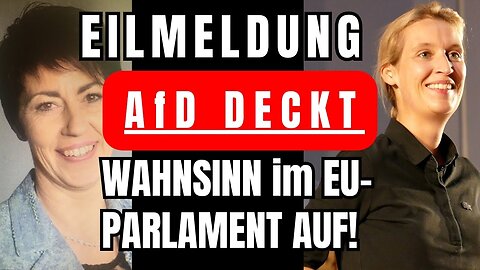 Christine Anderson (EU Abgeordnete) deckt jetzt den täglichen Wahnsinn im EU-PARLAMENT auf.