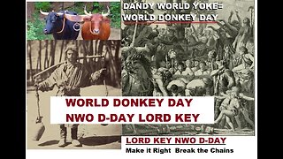 World Donkey Day Decode