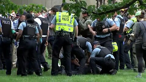 68 arrested at pro-Palestinian protests in Chicago