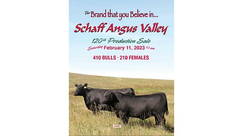 Schaff Angus Valley 2023 Annual Production Sale Catalog, St. Anthony, North Dakota
