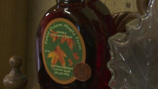 Maple syrup season off to an early sweet start in Western New York