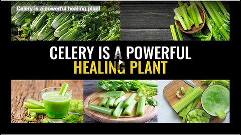 Celery is a powerful healing plant