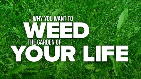 Why You Want To Weed The Garden Of Your Life