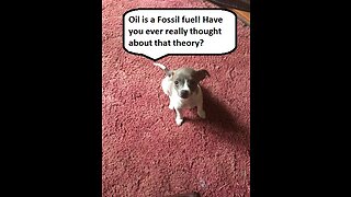 Is oil a fossil fuel?