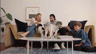 Pet & Family-Friendly Rugs