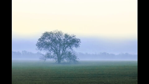 waiting for your Mr. Darcy... | moody classical music playlist