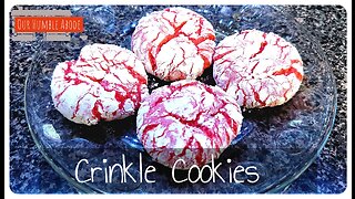 Crinkle Cookies