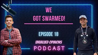 We Got Swarmed! | Episode 18