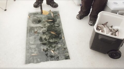 Inside the largest ice fishing tournament in Minnesota
