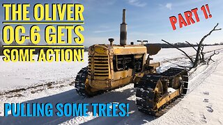 The Oliver OC-6 Crawler Pulls Trees To The Yard! This Oliver 77/88 Based Machine Is Fun In The Snow! Part 1!