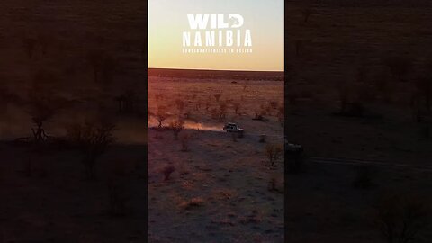 Explore Namibia's wildlife and efforts to protect it on "Wild Namibia: Conservationists in Action"