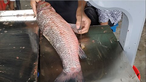 Amazing Fish Cutting Skills l Big Black Carp Fish Cutting By Machine In Market