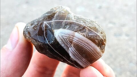 🍻 Found Root Beer Agate with Contrast Banding 🍻 #shorts