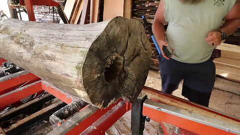 Was This Log Worth Saving? Black Hole Walnut On The Sawmill