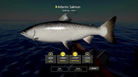 Russian Fishing 4 Ladoga Archipelago Atlantic Salmon 16 . 067 Kg