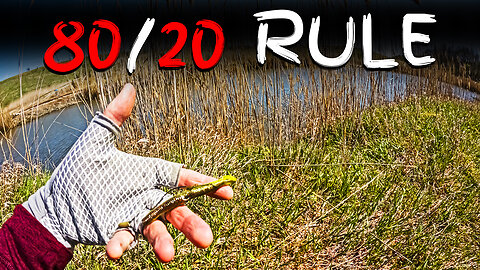 Bass Fishing Tips: The 80/20 Rule (Catch Largemouth from the Bank)