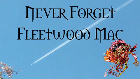 Never Forget Fleetwood Mac