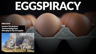 Eggspiracy? | Massive Fire Destroys Commercial Egg Farm Belonging To Top US Supplier