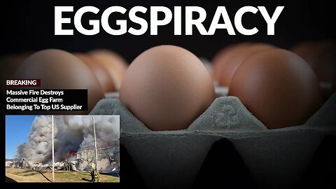 Eggspiracy? | Massive Fire Destroys Commercial Egg Farm Belonging To Top US Supplier