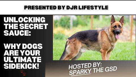 Unlocking the Secret Sauce: Why Dogs Are Your Ultimate Sidekick! 🐾