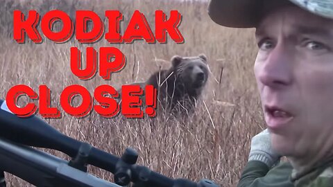 "Kodiak Up Close" Lost Season #6, Close-Range Fall Kodiak Brown Bear Alaska Hunting, Grizzly Guide